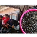 Mahasiswa UNTAG Surabaya Memberikan Pelatihan Pemanfaatan Limbah Kulit/Cangkang Kerang