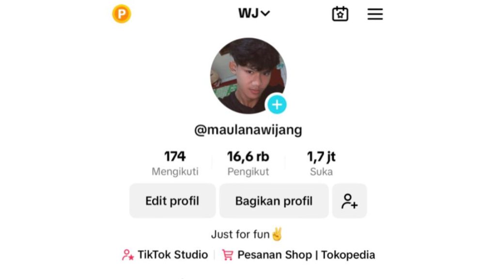 Cara Membangun Personal Branding di Sosial Media TikTok