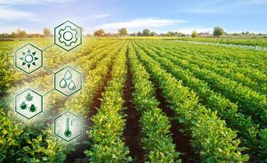 Mengatasi Krisis Lingkungan dengan Pertanian Berkelanjutan